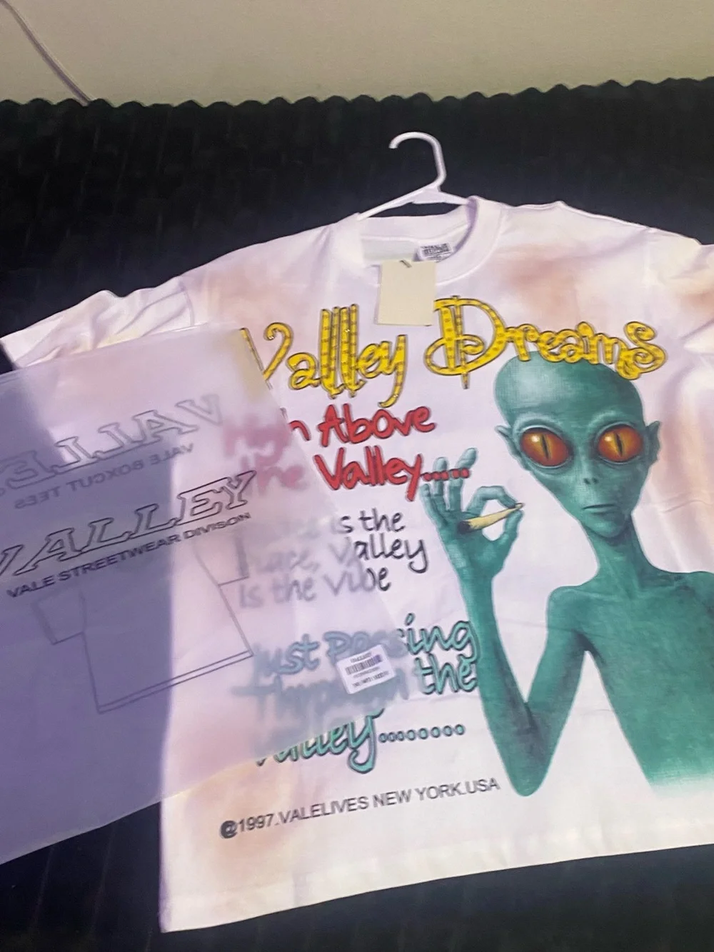 Valley Dreams Alien Graphic Tee - White